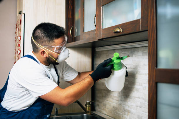 Best Wildlife Control Services  in York, SC