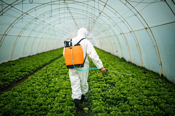 Best Pest Removal Services  in York, SC