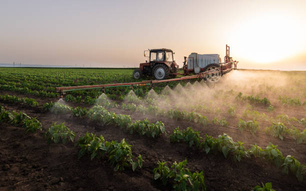 Best Mosquito Control Services  in York, SC