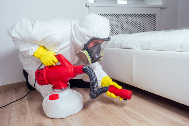 Best Best Pest Control Companies  in York, SC