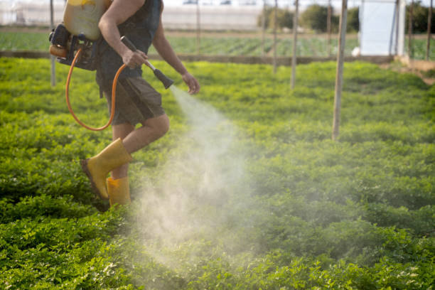 Professional Pest Control in York, SC