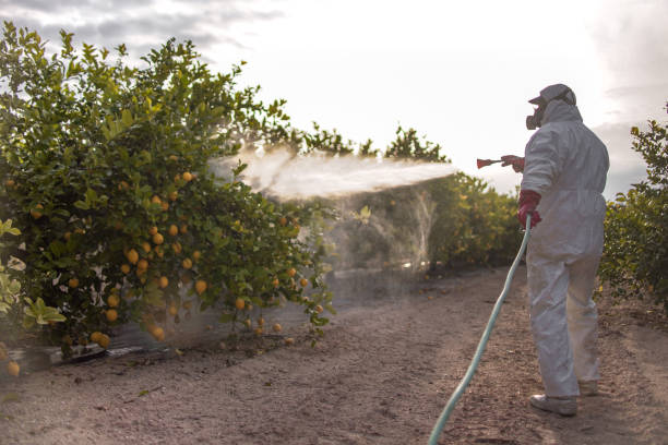 Best Commercial Pest Control Services  in York, SC