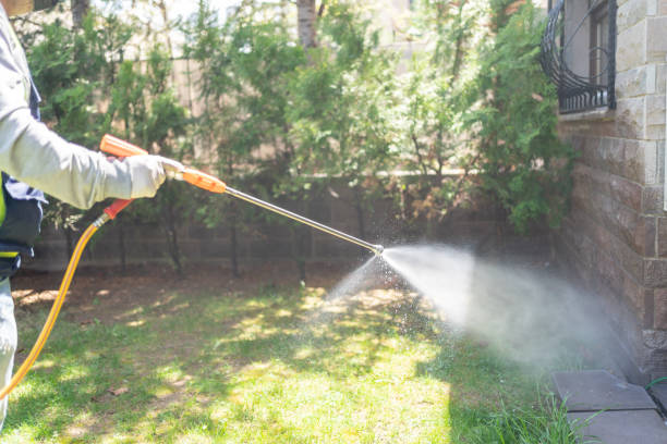 Best Spider Control Near Me  in York, SC