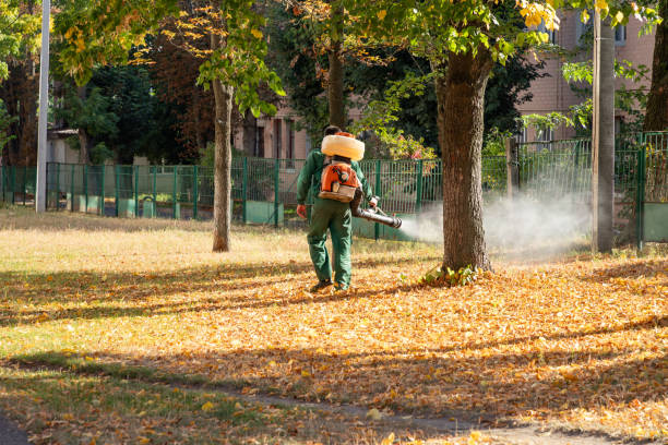 Best Cockroach Control Services  in York, SC